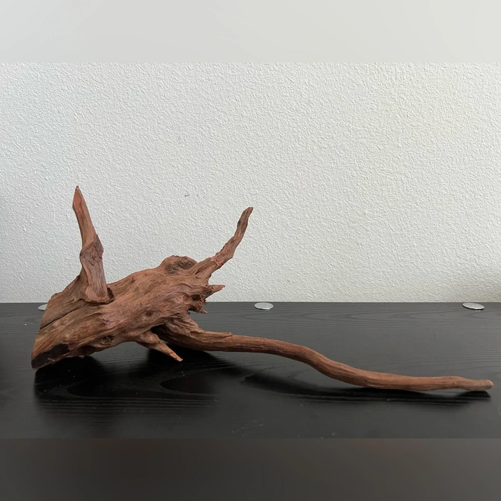 Natural Driftwood Sculpture